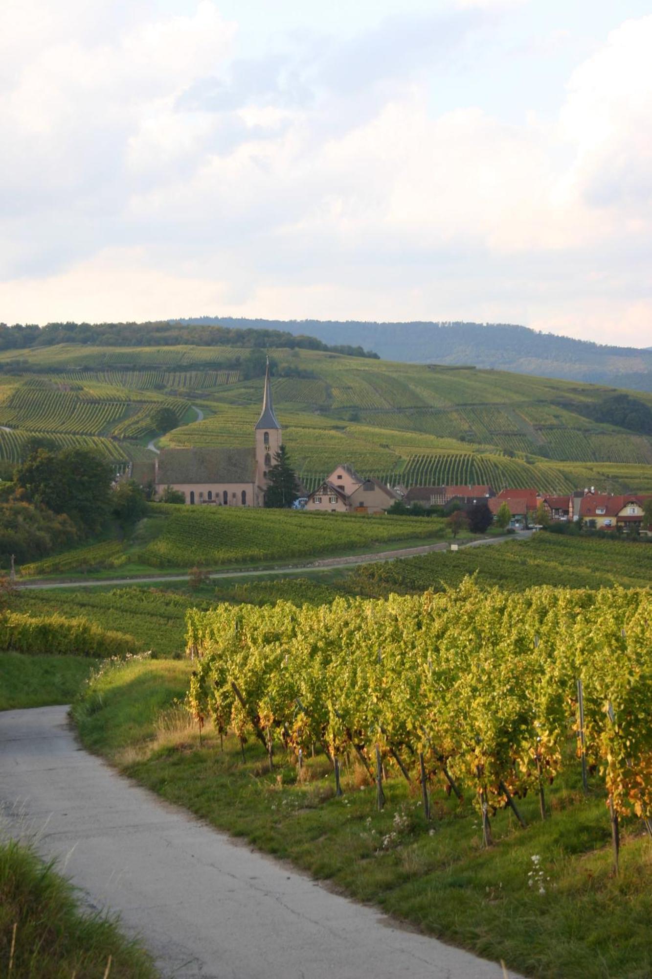 Hotel Winzenberg Blienschwiller Exteriör bild